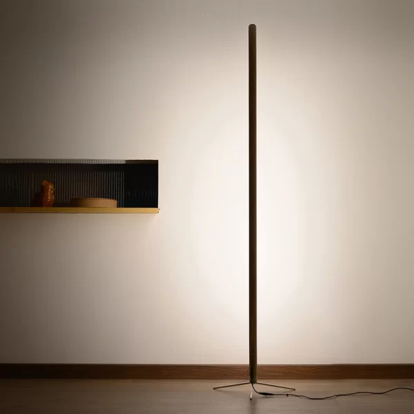 In the hallway, a floor lamp is glowing towards the wall.