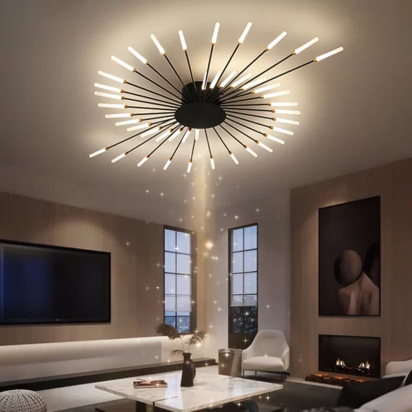 Black Simple Creative Firework Ceiling Lights