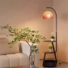 Black Metal Retro Tall Pole Arc Floor Lamp Living Room Scene Display